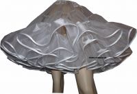 White petticoat iceorganza