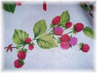 petticoatdress with sweet strawberrys