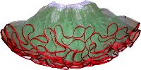 petticoat green 1 layer
