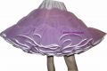 Petticoat flieder - purple