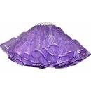 Glanzorgandy Petticoat Farben nach Wahl mit 2 Lagen