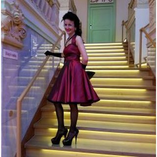 Taftkleid Petticoatkleid 50er Jahre zum Petticoat bordeaux