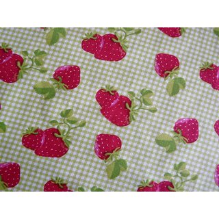 50er Petticoatkleid rote Erdbeeren grünes Vichy Karo